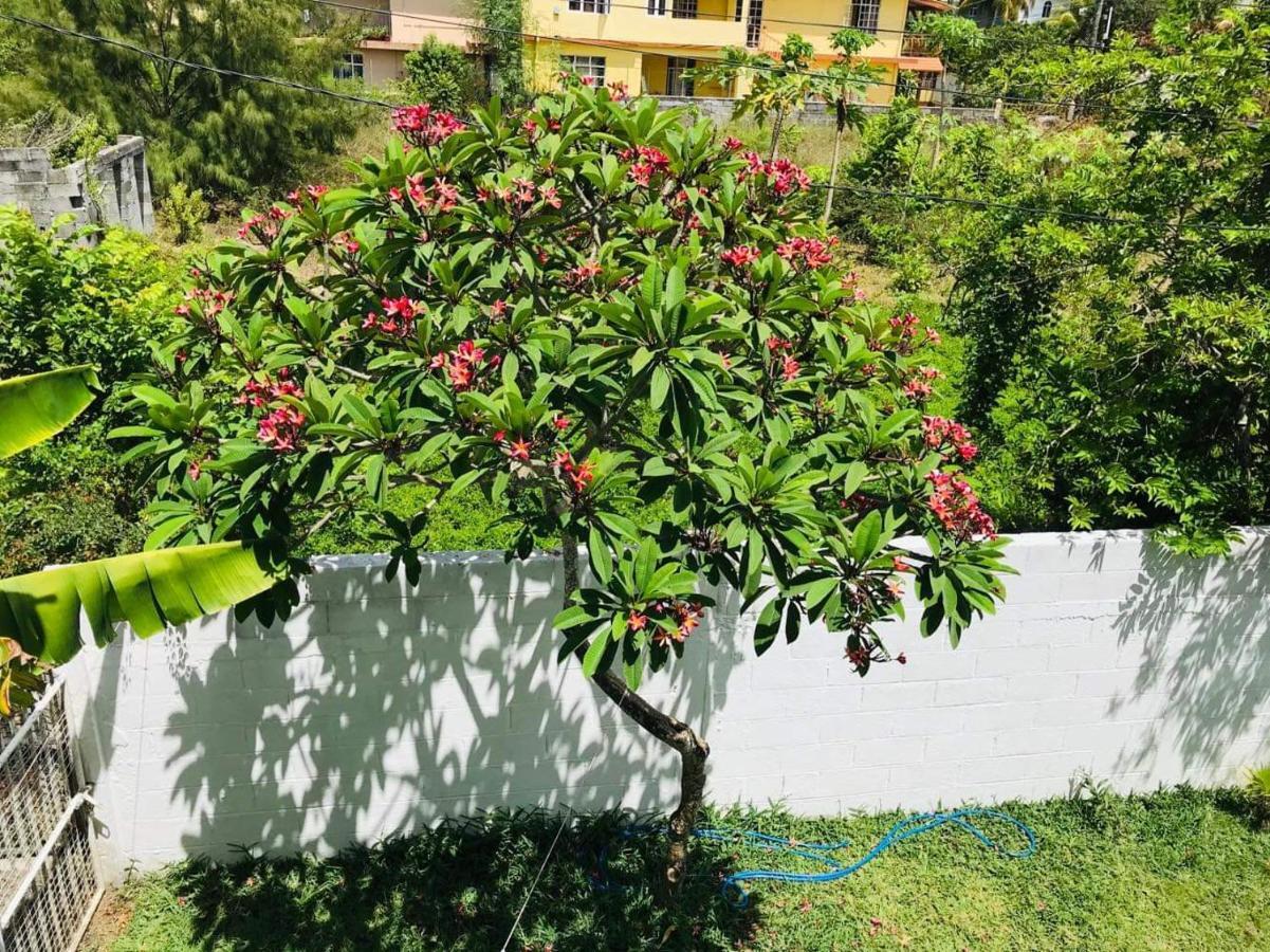 Breeze Du Nord Villa Grand-Baie Kültér fotó